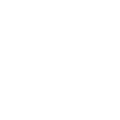 Traveler's Choice award