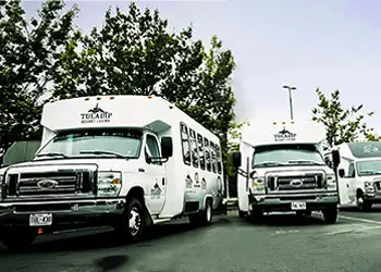 Three of the Tulalip Resort Casino shuttles parked.