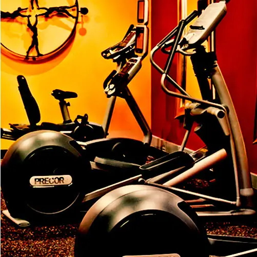 Two ellipticals and a bike.