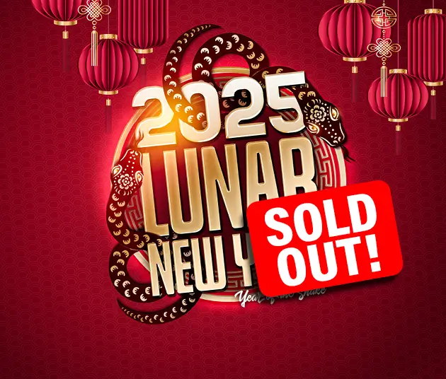 2025 Lunar New Year: Year of the Snake logo with a sold out label over the upper left hand corner