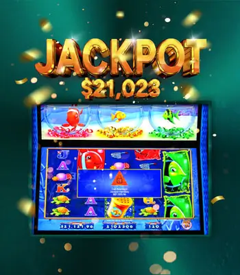 big wins and jackpots in November